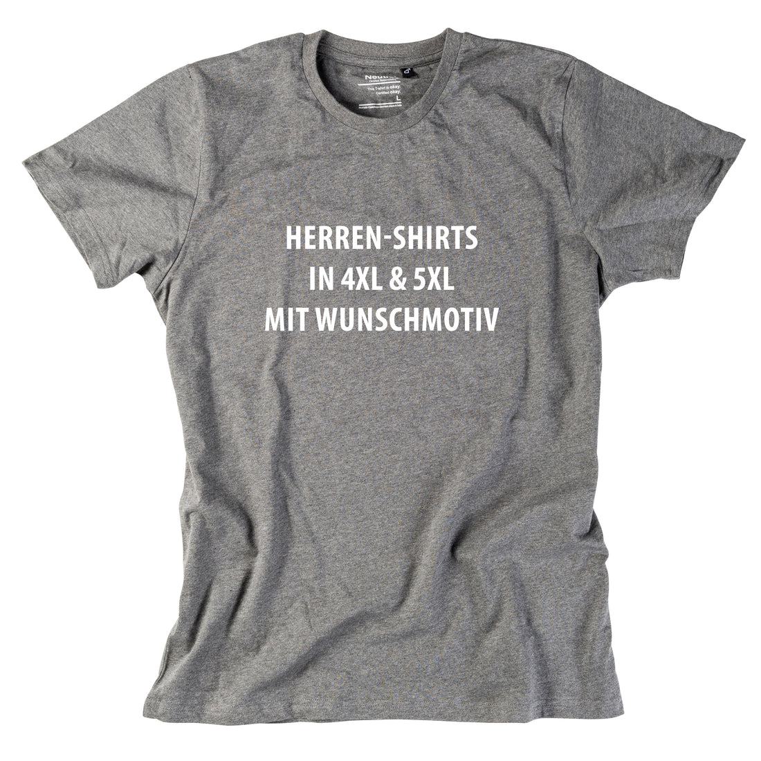 herren-shirt-uebergroesse-hellgrauTy11CpFgcgwVn