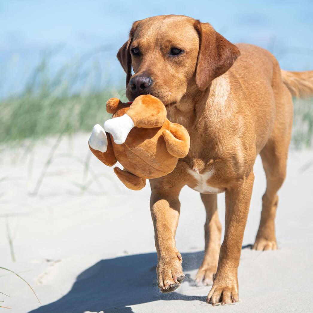 spielzeug-hunde-grillhaehnchen